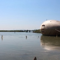 Exbury Egg on location on River Beaulieu at Exbury, Hampshire, 2014