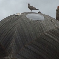 Locals welcome Stephen Turner's Exbury Egg, Hastings, 2017