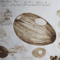 Stephen Turner, Artists Impression of Exbury Egg interior, watercolour on board, 740mm x 1000mm, 2013 