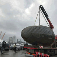 Stephen Turner's Exbury Egg is unloaded at TBW